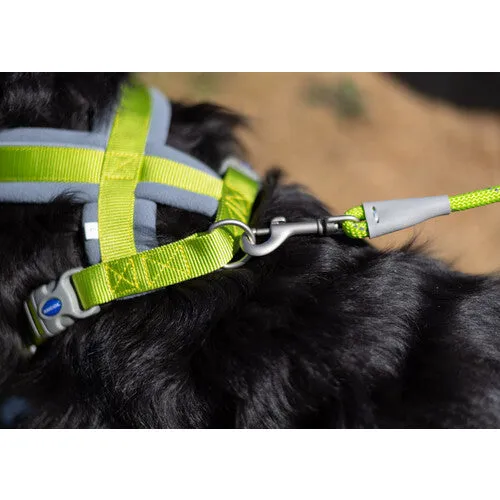 Ancol Viva Padded Harness Black L 52-71cm
