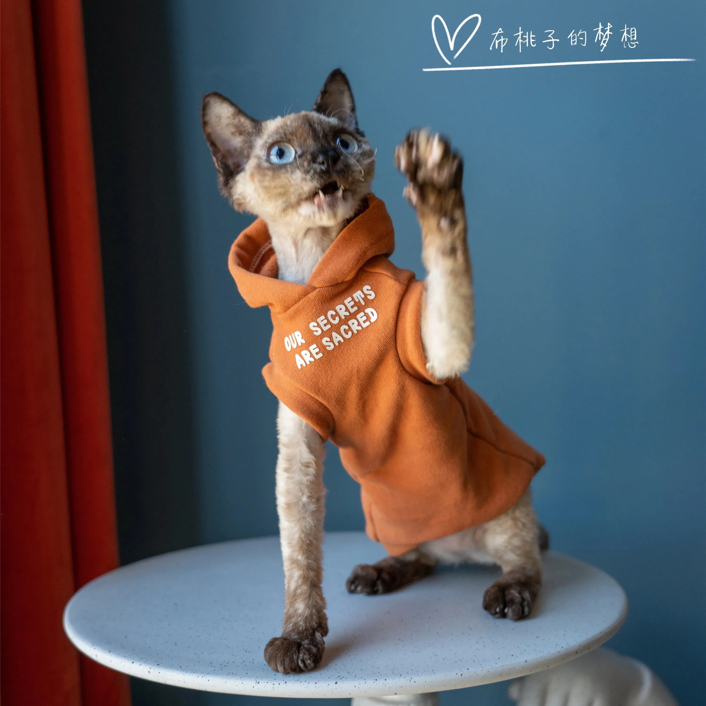 Fashion Sweatshirt Coat Suit for Sphynx Cat | Thick Warm Winter Costume for Kittens | Soft Orange Jacket for Devon Cats