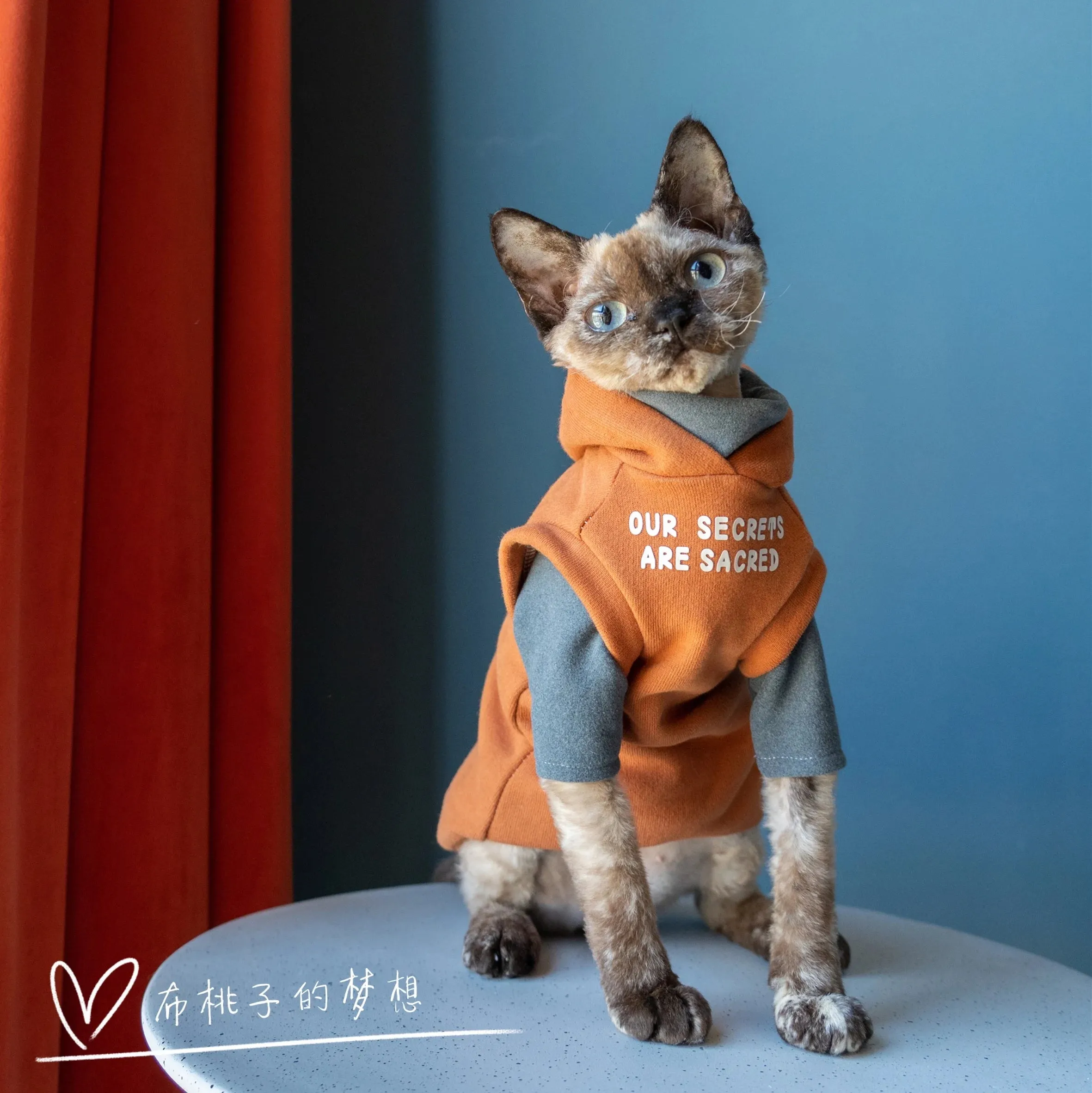 Fashion Sweatshirt Coat Suit for Sphynx Cat | Thick Warm Winter Costume for Kittens | Soft Orange Jacket for Devon Cats