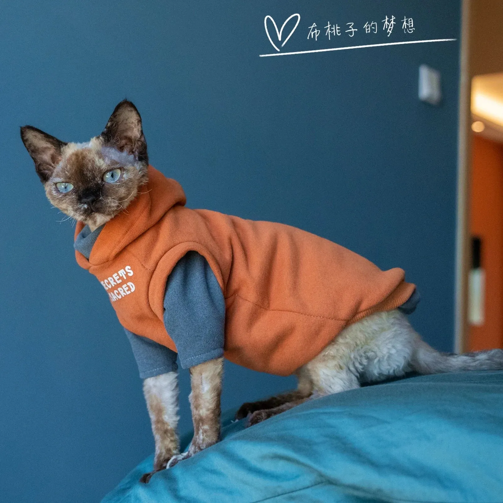 Fashion Sweatshirt Coat Suit for Sphynx Cat | Thick Warm Winter Costume for Kittens | Soft Orange Jacket for Devon Cats