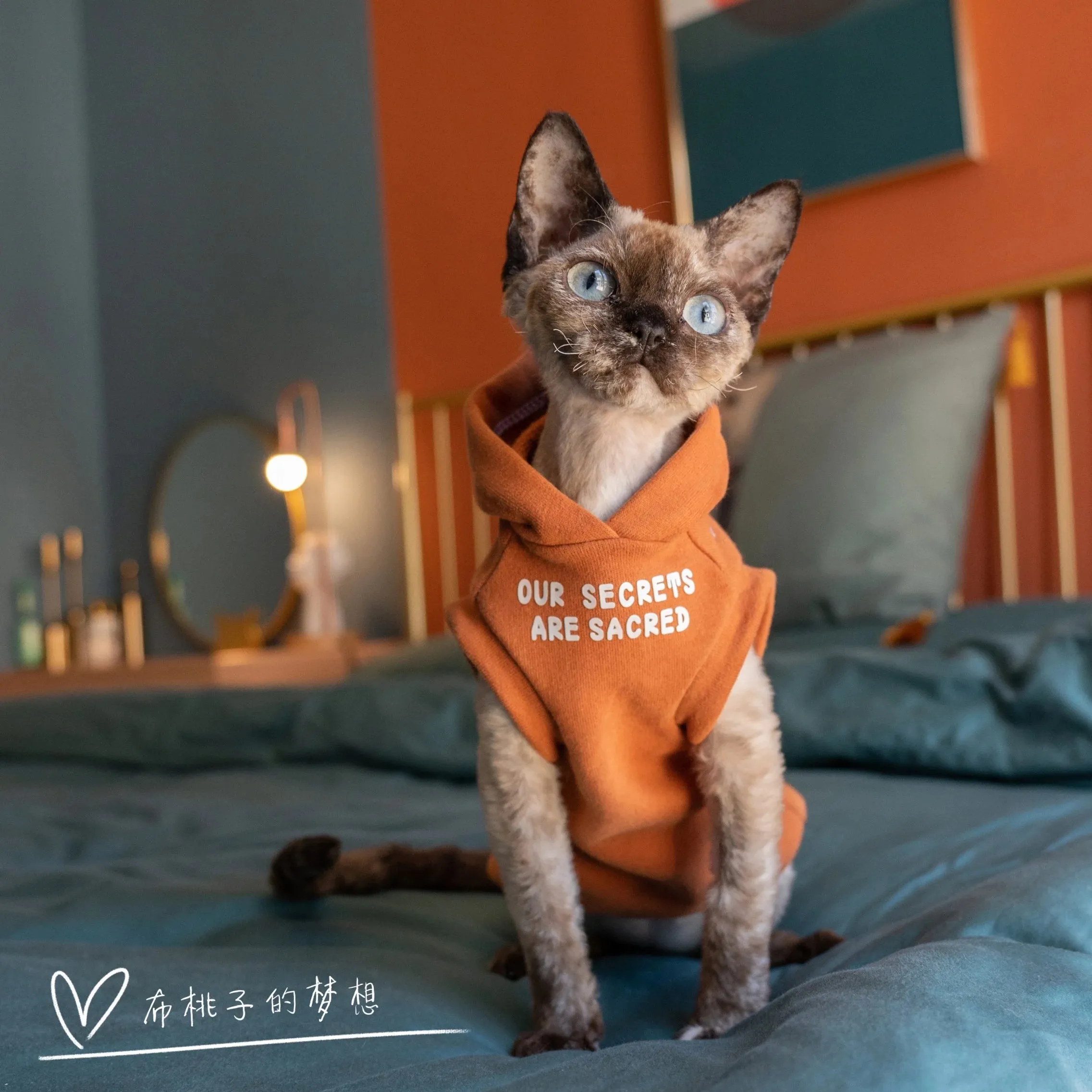 Fashion Sweatshirt Coat Suit for Sphynx Cat | Thick Warm Winter Costume for Kittens | Soft Orange Jacket for Devon Cats