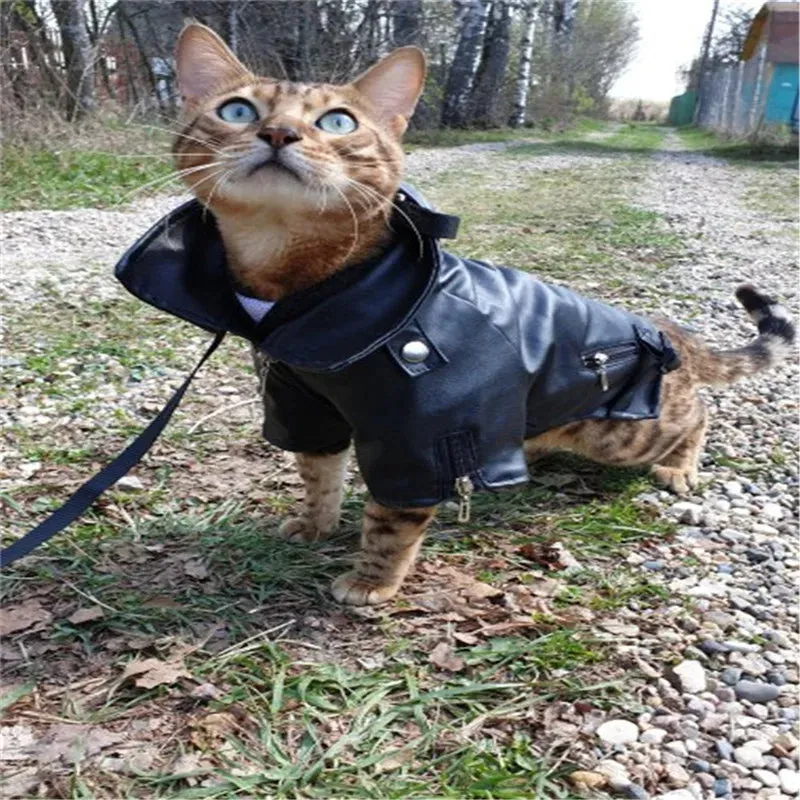 Legendary Leather Jacket For Dogs Cool Motorcycle Glorious Eagle Pattern Dog Coat PU Leather Jacket Soft Waterproof Outdoor Puppy Outerwear Fashion Clothes For Small Pet(XXS-XXL)