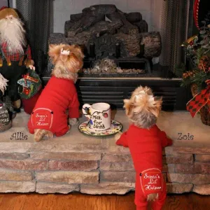 Santa's Lil' Helper Dog Pajamas