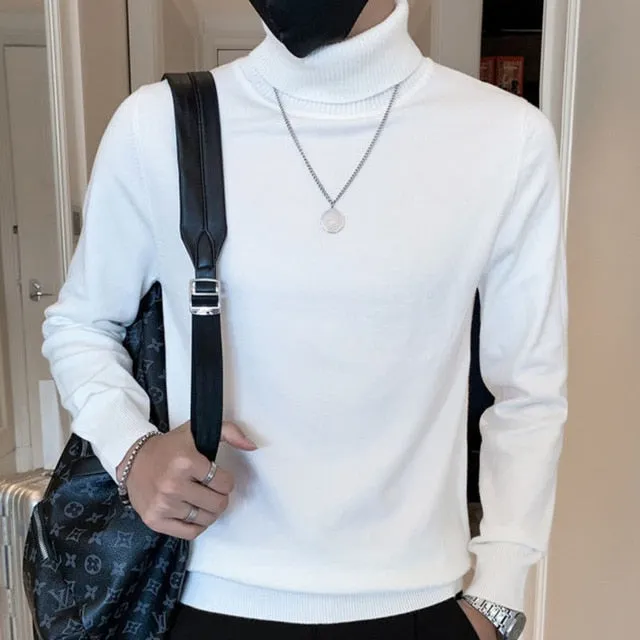 Turtleneck Solid Long Sleeved Sweater