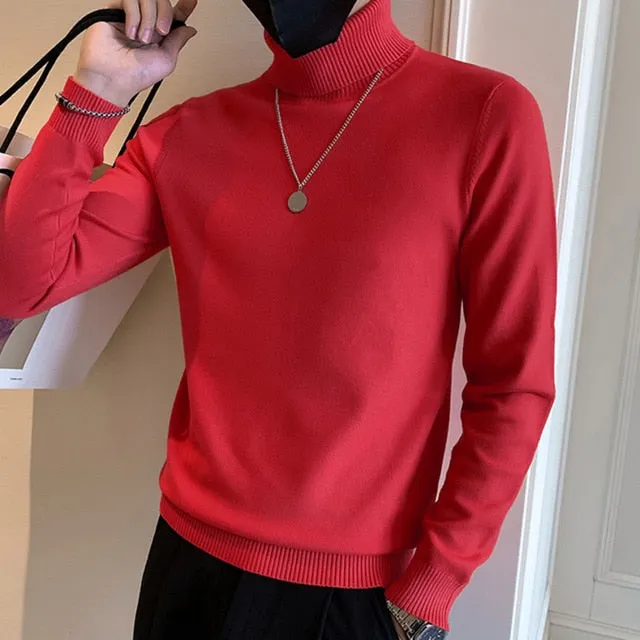 Turtleneck Solid Long Sleeved Sweater